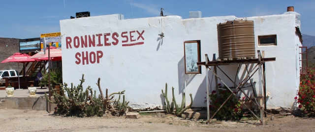 Ronnie's Sex Shop