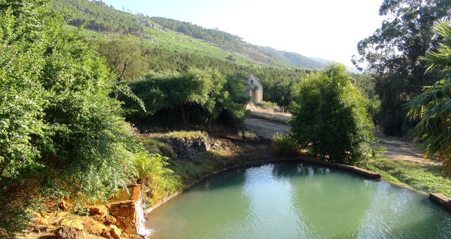 old pool in Caledon