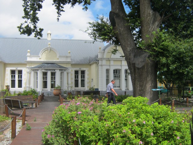 George Tourism Bureau and the old slave tree