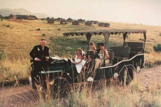 wedding carriage