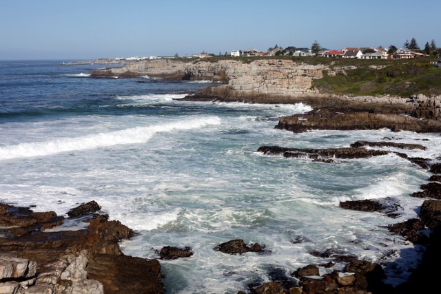 view of the bay in Hermanus