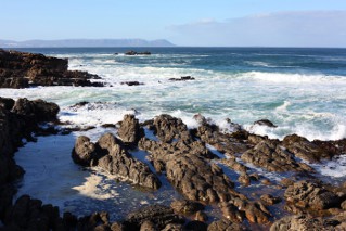 Hermanus