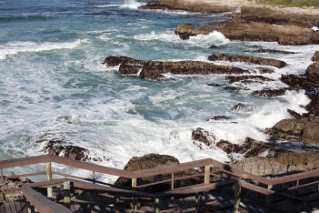 view from the boardwalk in Hermanus