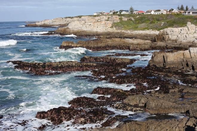 on the rocks in Hermanus