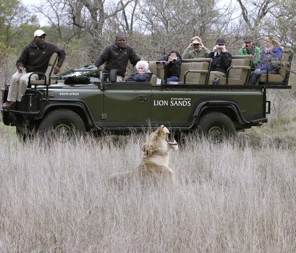 game drive at the Lion Sands Lodge