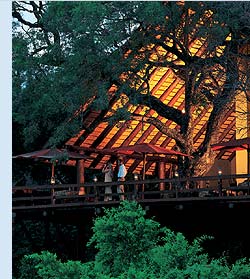 Londolozi camp in the Kruger National Park