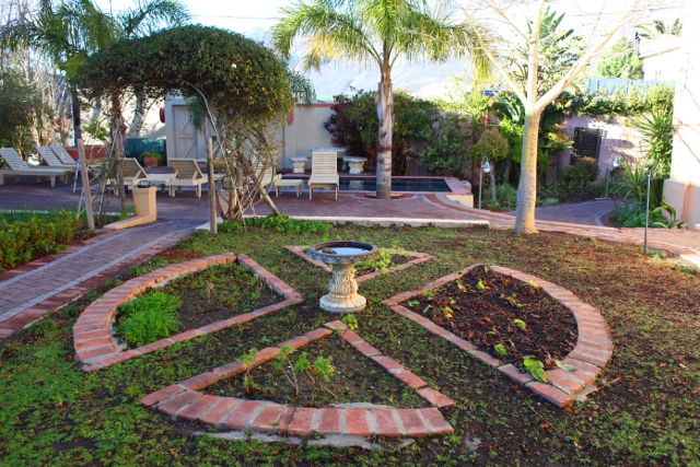 bird pool and human pool at the Montagu Country Hotel