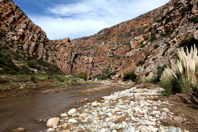postcard perfect view of mountain and river in Montagu