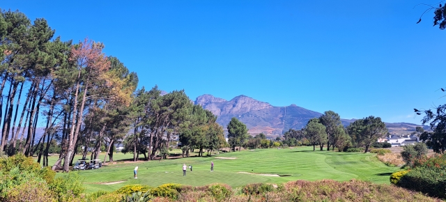 Players on the button green of the Pearl Valley Golf Course, with mountain backdrop