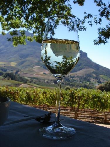 Delaire wine farm in Stellenbosch