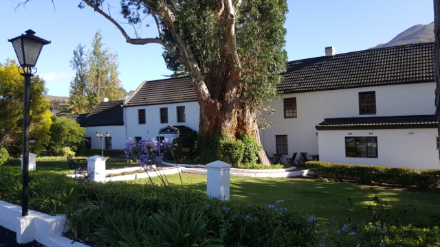 Houw Hoek Inn and the historica blue gum tree