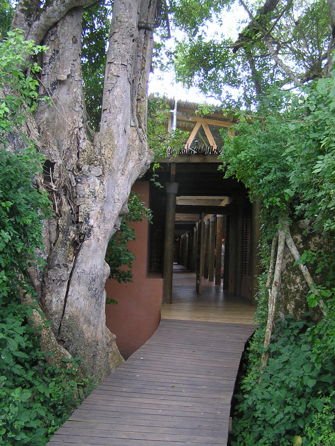 Intsomni Lodge in Alexandria