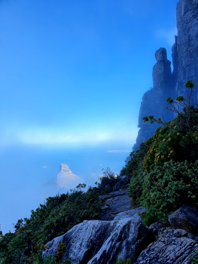 View of Lions Head, through the mist, from the India Venster route up Table Mountain