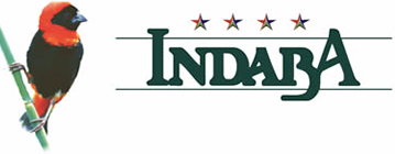 Indaba Hotel's logo