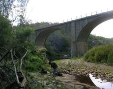 Description: C:\Documents and Settings\Dieter Husselman.WORKSTATION03\My Documents\My Pictures\New Folder\1183369186\photos\you can wear my shoes bra\1713223748767.jpg