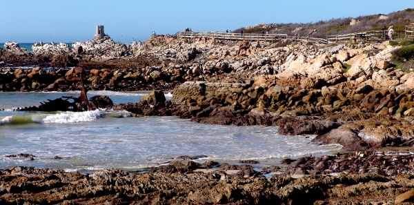 boardwalk to the Stony Point penguin colony at Bettys Bay