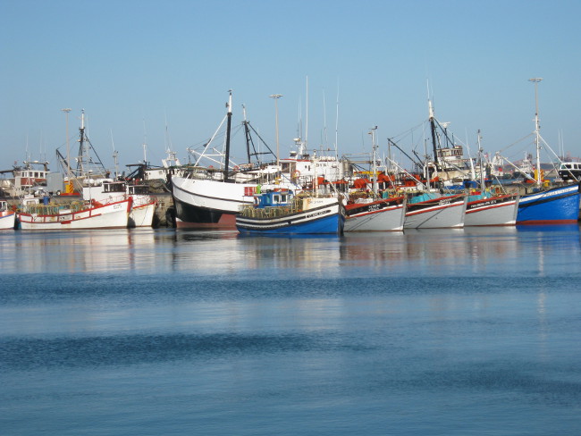 Saldanha Bay fishing boats