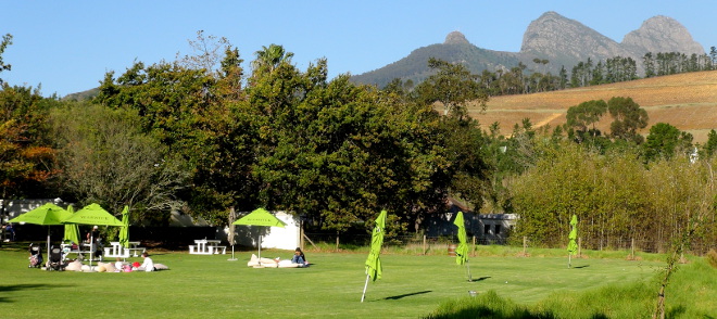 Simonsberg in the background of the Warwick Wine Estate picnic area