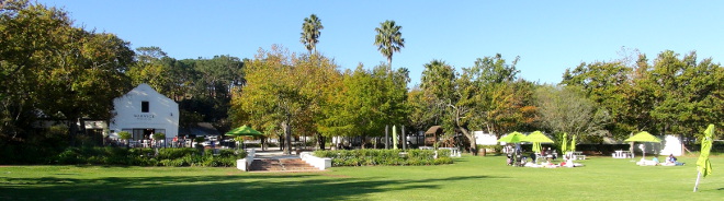Warwick Wine Estate near Stellenbosch