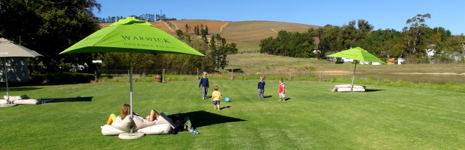 kicking around a soccer ball at Warwick Wine Estate