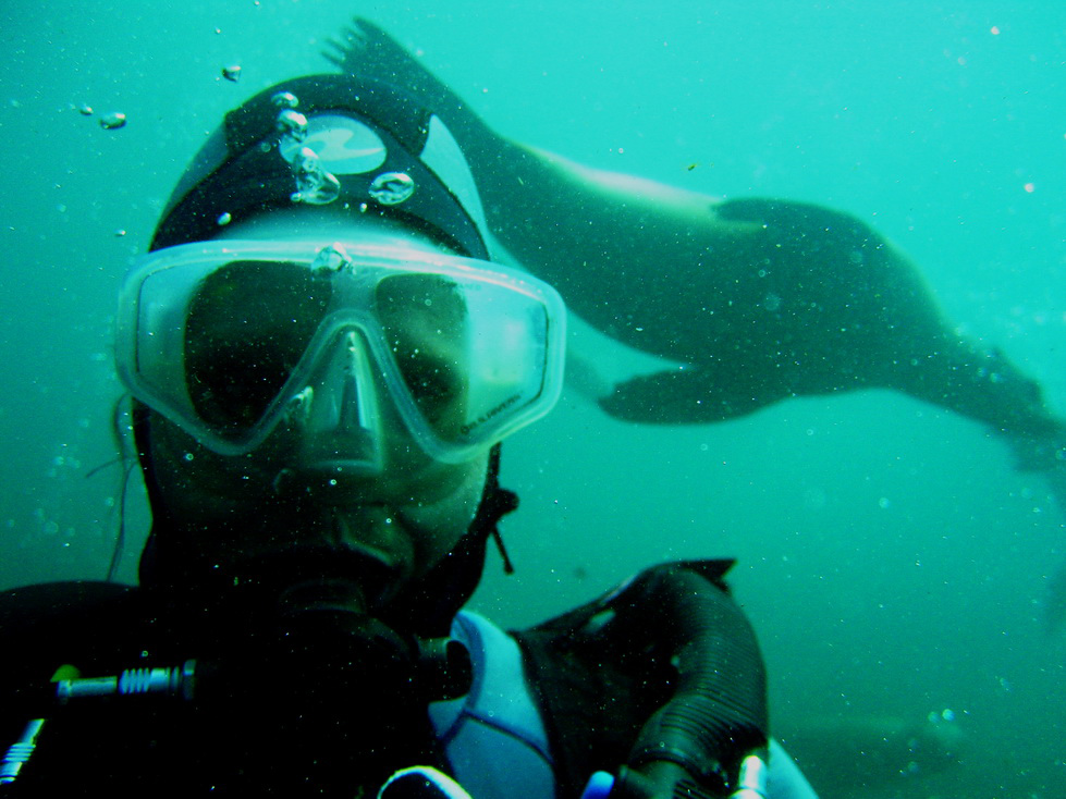 scuba diver