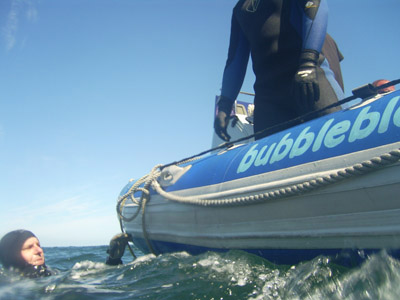 snorkeler snorkeling