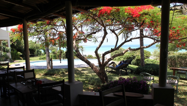 view from the restaurant at Casa Rex