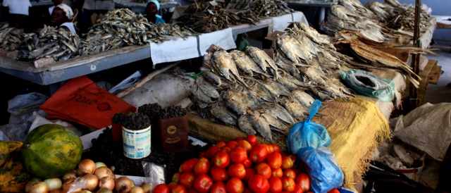 dried fish market in Vilankulo, Mozambique