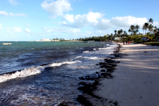 high tide at Vilankulo beach