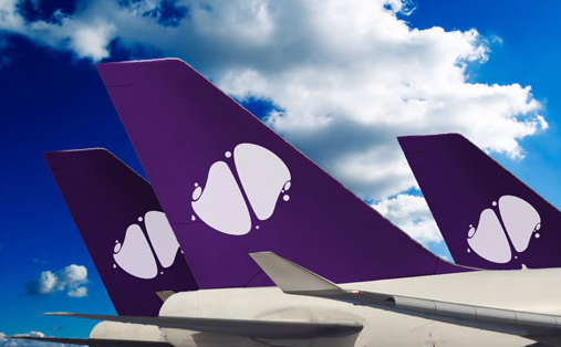 artist's impression of tailfin of a Velvet Sky plane