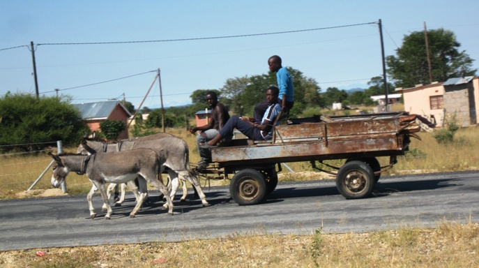 donkey drawn carriage on the Johannesburg - Bulawayo road