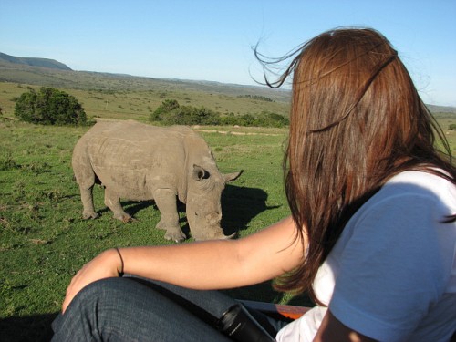 a Rhino at Kichaka Private Game Reserve