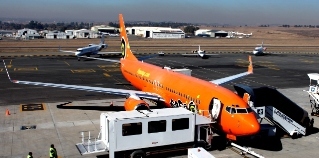Mango Plane