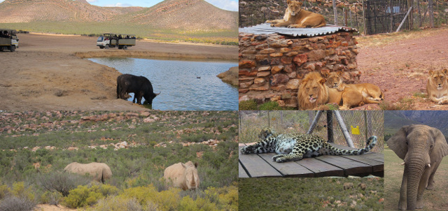 Aquila Game Reserve