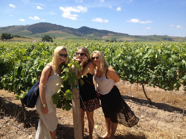 American tourists at Skilpadvlei winery