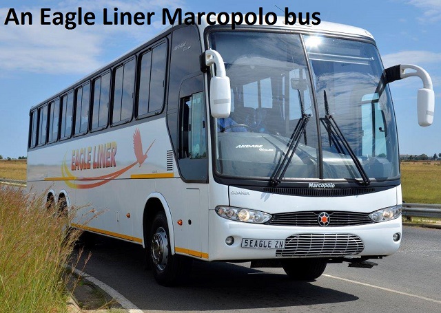 Eagle Liner bus on the road