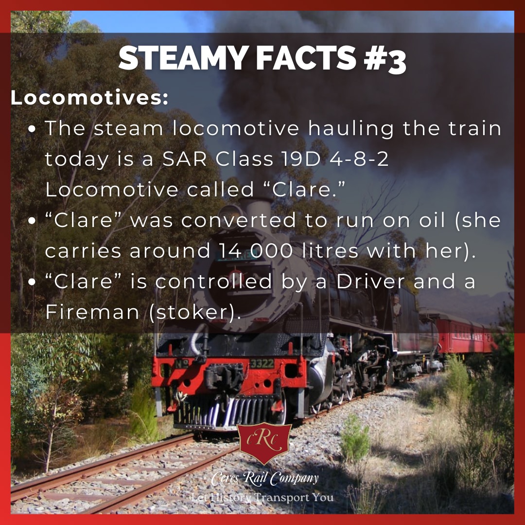 Ceres Rail locomotive Clare is a SAR Class 19D