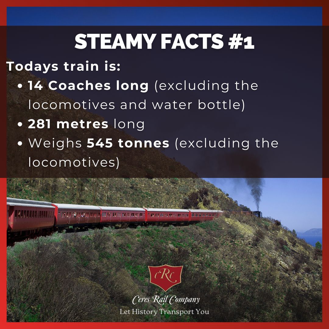 Ceres Rail - 14 coaches long excluding locomotives and water bottle