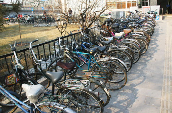 Bicycles lined up in preparation for the Cape Argus.