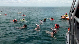 snorkelling off Inhaca