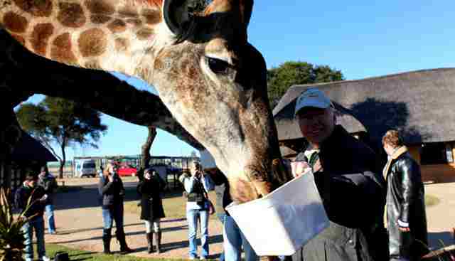 feeding a giraffe at Heia Safari Ranch