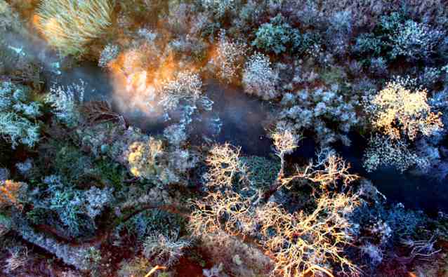 middle earth in the Cradle of Humankind