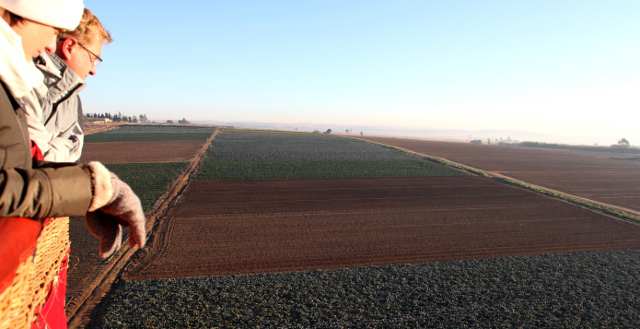 view from a hot air balloon