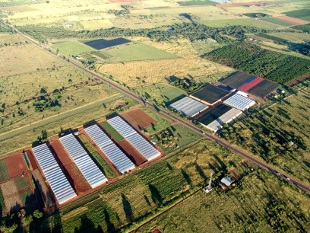 farming activity around the R104